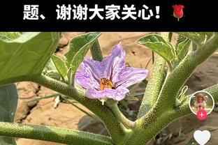 ?梅西、C罗、孙兴慜……那些年，被沙特后卫布莱希怼过的球星们